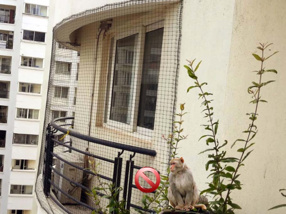 Balcony Safey Nets in Hyderabad
