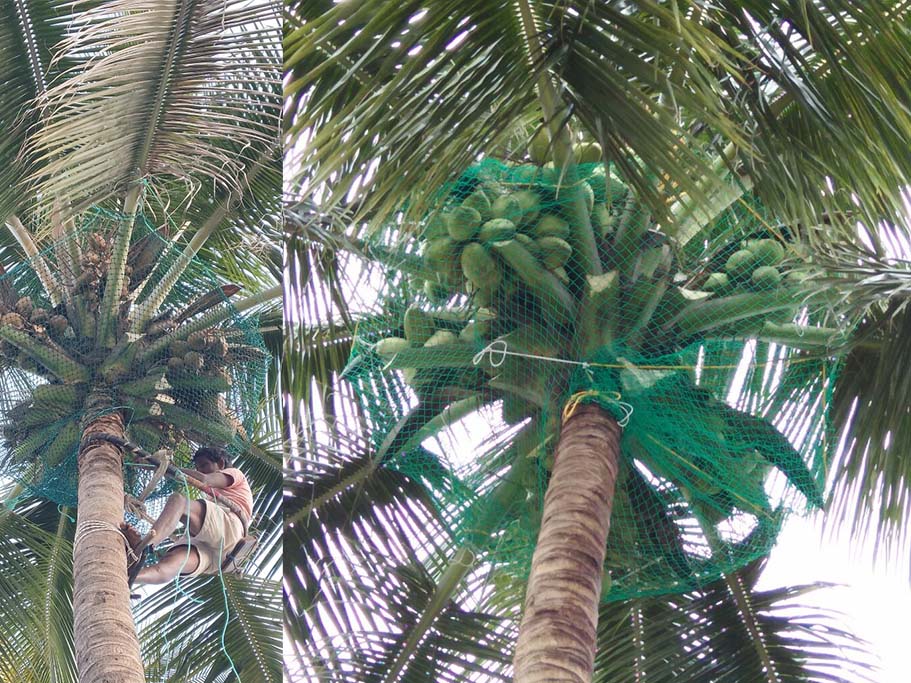 Balcony Safey Nets in Hyderabad