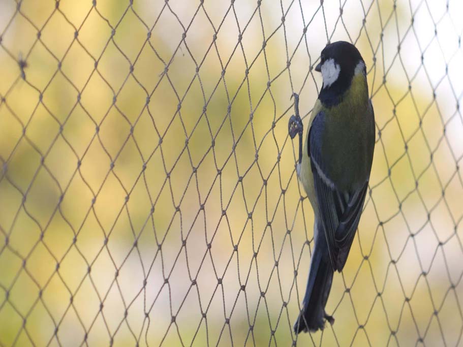 Balcony Safey Nets in Hyderabad