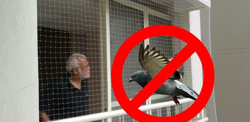 Pigeon Safety Nets In suchitra 