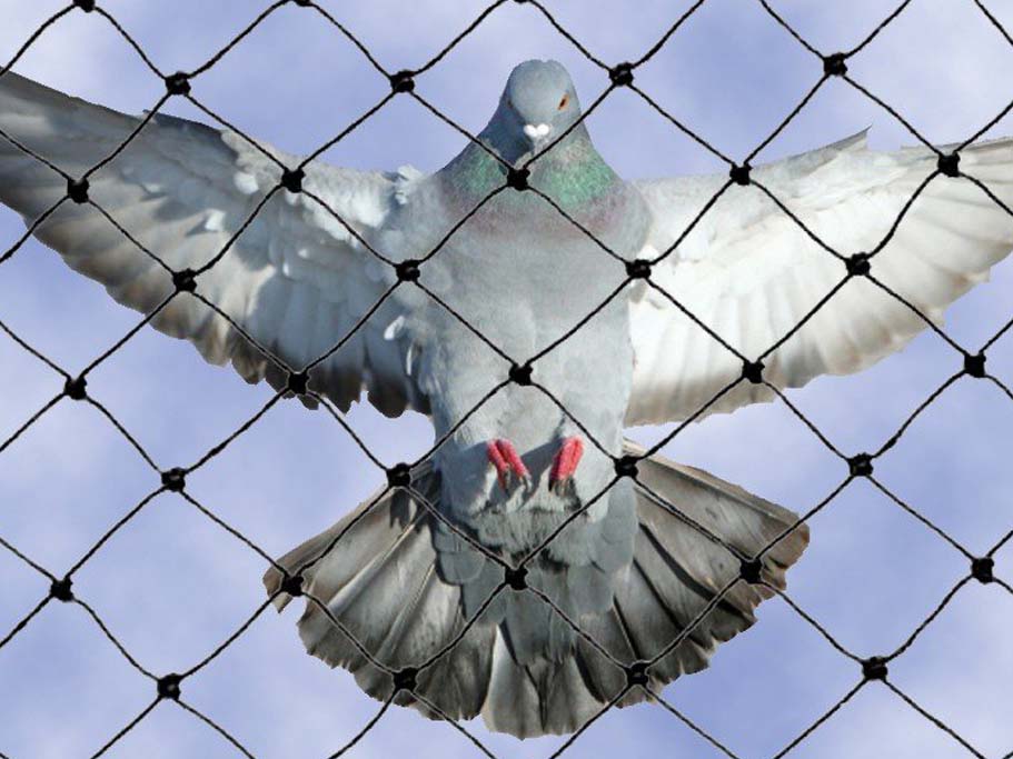 Balcony Safey Nets in Hyderabad